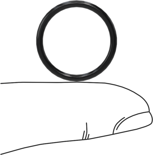 Kimyasala Dayanıklı Viton® Floroelastomer O-Rings, Düşük Gaz Salınımlı, 1/16 Kesirli Genişlik, Dash No. 017