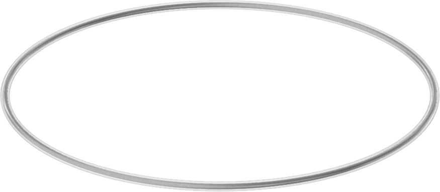 Viton® Floroelastomer O-Ring, Ultra Kimyasala Dayanıklı, FEP Kaplı, Dash No. 042