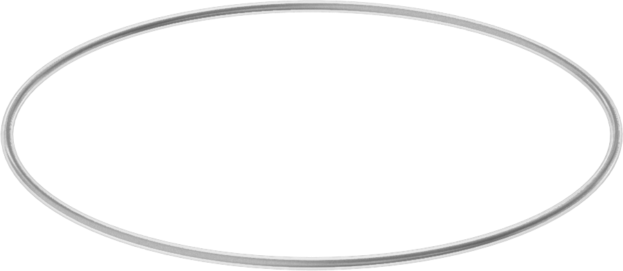 Viton® Floroelastomer O-Ring, Ultra Kimyasala Dayanıklı, FEP Kaplı, Dash No. 043