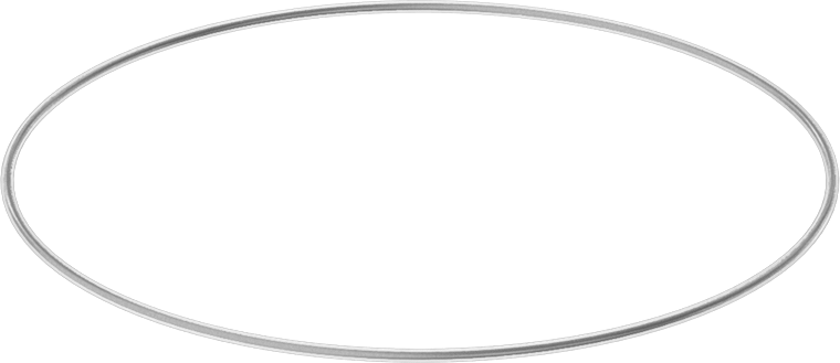 Viton® Floroelastomer O-Ring, Ultra Kimyasala Dayanıklı, FEP Kaplı, Dash No. 047