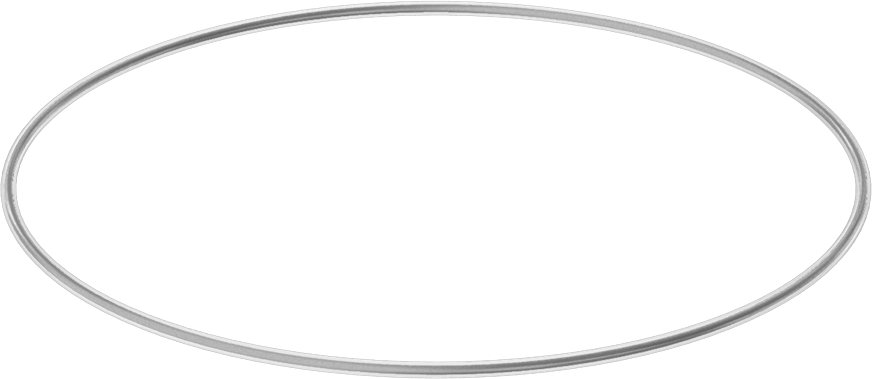 Viton® Floroelastomer O-Ring, Ultra Kimyasala Dayanıklı, FEP Kaplı, Dash No. 162