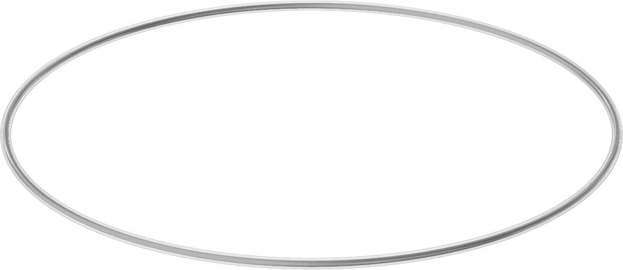 Viton® Floroelastomer O-Ring, Ultra Kimyasala Dayanıklı, FEP Kaplı, Dash No. 163