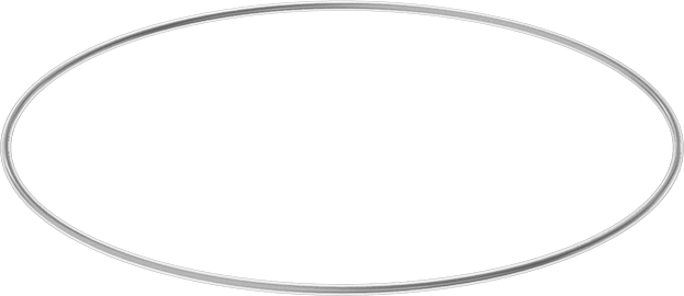 Viton® Floroelastomer O-Ring, Ultra Kimyasala Dayanıklı, FEP Kaplı, Dash No. 165
