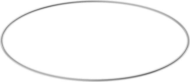 Viton® Floroelastomer O-Ring, Ultra Kimyasala Dayanıklı, FEP Kaplı, Dash No. 167