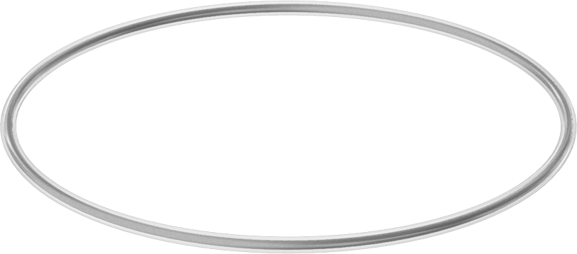 Viton® Floroelastomer O-Ring, Ultra Kimyasala Dayanıklı, FEP Kaplı, Dash No. 250