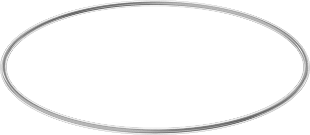 Viton® Floroelastomer O-Ring, Ultra Kimyasala Dayanıklı, FEP Kaplı, Dash No. 260