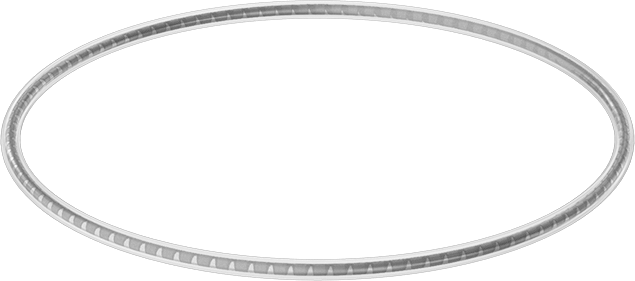 Viton® Floroelastomer O-Ring, Ultra Kimyasala Dayanıklı, FEP Kaplı, Dash No. 363