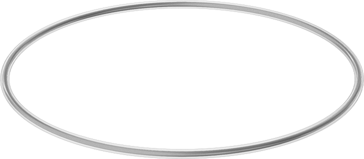 Viton® Floroelastomer O-Ring, Ultra Kimyasala Dayanıklı, FEP Kaplı, Dash No. 370