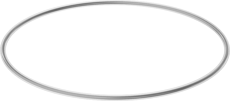 Viton® Floroelastomer O-Ring, Ultra Kimyasala Dayanıklı, FEP Kaplı, Dash No. 372
