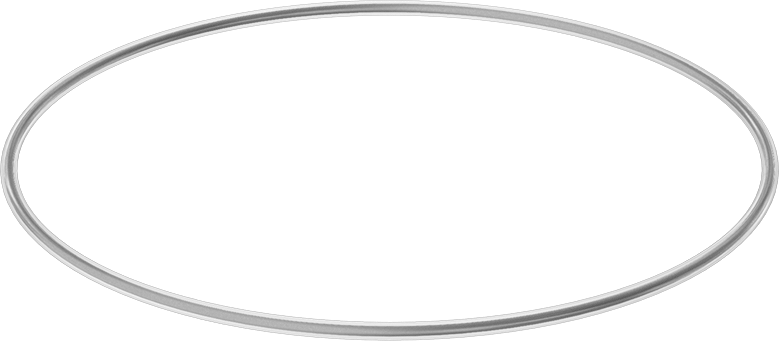 Viton® Floroelastomer O-Ring, Ultra Kimyasala Dayanıklı, FEP Kaplı, Dash No. 375