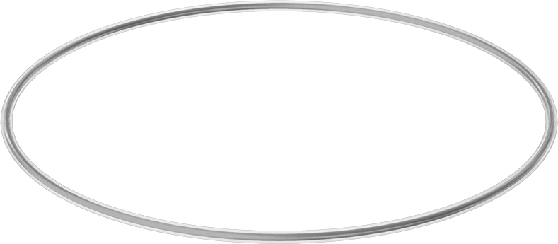 Viton® Floroelastomer O-Ring, Ultra Kimyasala Dayanıklı, FEP Kaplı, Dash No. 376
