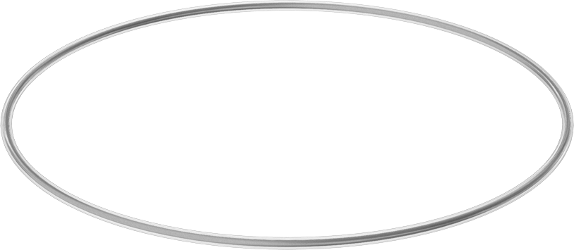 Viton® Floroelastomer O-Ring, Ultra Kimyasala Dayanıklı, FEP Kaplı, Dash No. 378