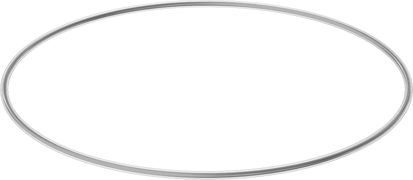 Viton® Floroelastomer O-Ring, Ultra Kimyasala Dayanıklı, FEP Kaplı, Dash No. 379