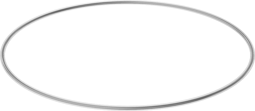Viton® Floroelastomer O-Ring, Ultra Kimyasala Dayanıklı, FEP Kaplı, Dash No. 380