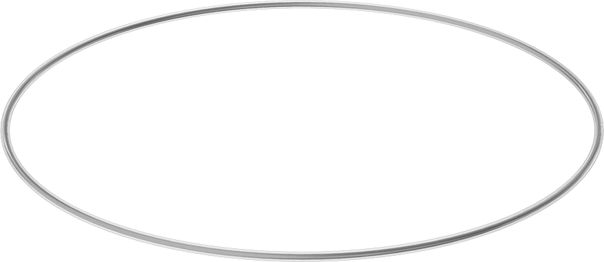 Viton® Floroelastomer O-Ring, Ultra Kimyasala Dayanıklı, FEP Kaplı, Dash No. 383