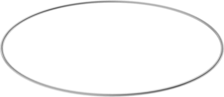 Viton® Floroelastomer O-Ring, Ultra Kimyasala Dayanıklı, FEP Kaplı, Dash No. 384