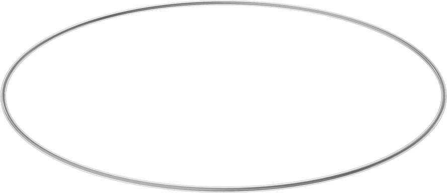 Viton® Floroelastomer O-Ring, Ultra Kimyasala Dayanıklı, FEP Kaplı, Dash No. 386