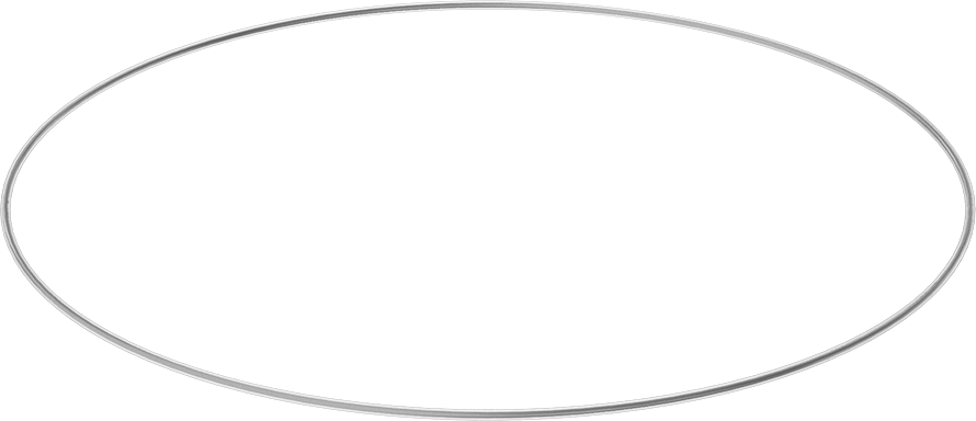 Viton® Floroelastomer O-Ring, Ultra Kimyasala Dayanıklı, FEP Kaplı, Dash No. 390