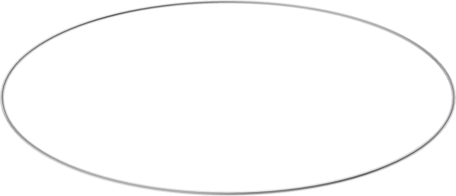 Viton® Floroelastomer O-Ring, Ultra Kimyasala Dayanıklı, FEP Kaplı, Dash No. 395