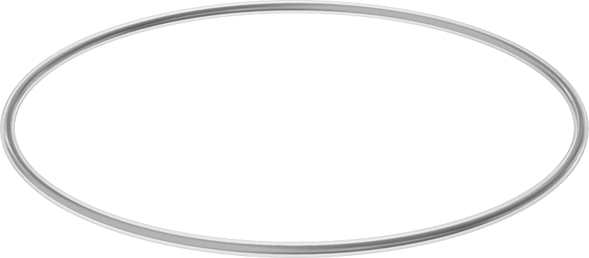 Viton® Floroelastomer O-Ring, Ultra Kimyasala Dayanıklı, FEP Kaplı, Dash No. 451