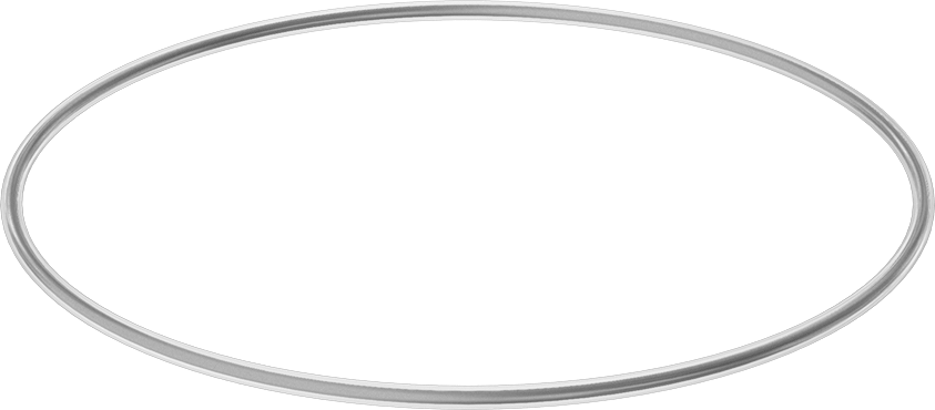 Viton® Floroelastomer O-Ring, Ultra Kimyasala Dayanıklı, FEP Kaplı, Dash No. 452