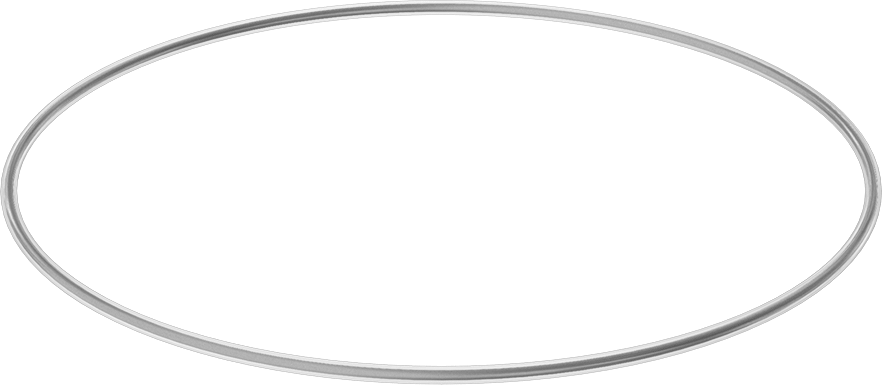 Viton® Floroelastomer O-Ring, Ultra Kimyasala Dayanıklı, FEP Kaplı, Dash No. 458