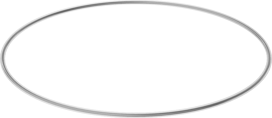 Viton® Floroelastomer O-Ring, Ultra Kimyasala Dayanıklı, FEP Kaplı, Dash No. 460