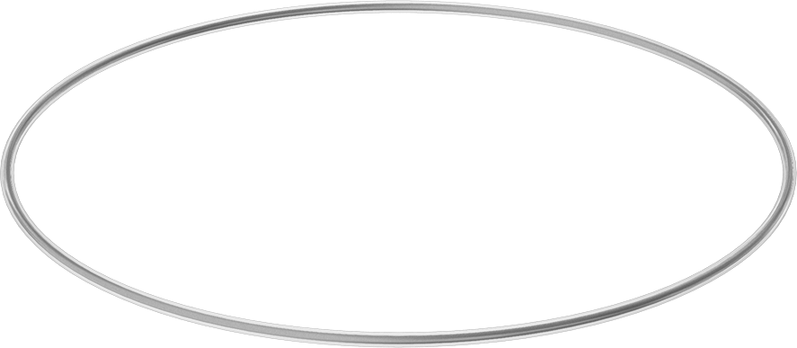 Viton® Floroelastomer O-Ring, Ultra Kimyasala Dayanıklı, FEP Kaplı, Dash No. 461