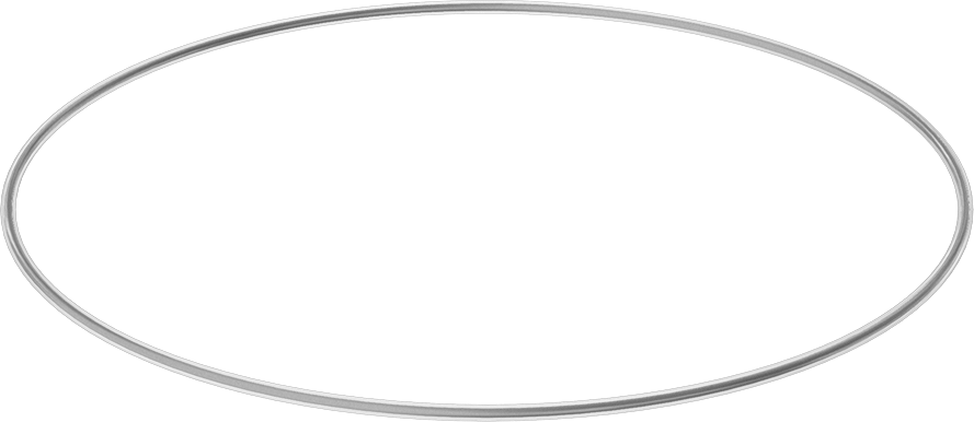 Viton® Floroelastomer O-Ring, Ultra Kimyasala Dayanıklı, FEP Kaplı, Dash No. 464