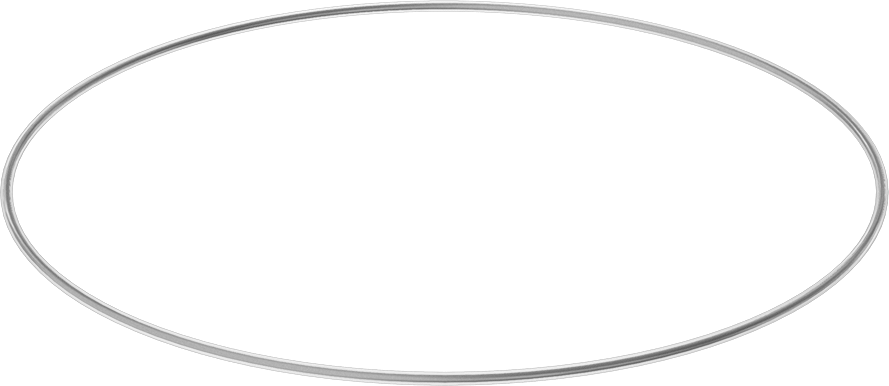 Viton® Floroelastomer O-Ring, Ultra Kimyasala Dayanıklı, FEP Kaplı, Dash No. 469