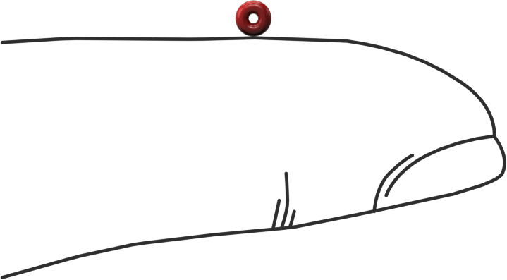 Yüksek Sıcaklık Silikon O-Rings, Parker S1138, 1/32 Kesirli Genişlik, Dash Numarası 001