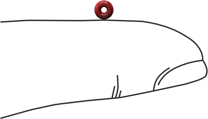 Yüksek Sıcaklık Silikon O-Rings, Parker S1138, 3/64 Kesirli Genişlik, Dash Numarası 002