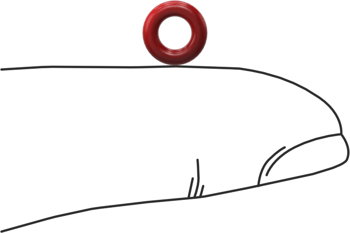 Yüksek Sıcaklık Silikon O-Rings, Parker S1138, 1/16 Kesirli Genişlik, Dash Numarası 007