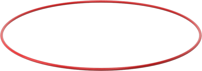 Yüksek Sıcaklık Silikon O-Rings, Parker S1138, 3/32 Kesirli Genişlik, Dash Numarası 170