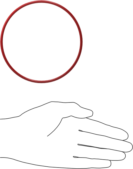 Yüksek Sıcaklık Silikon O-Rings, Parker S1138, 1/8 Kesirli Genişlik, Dash Numarası 244