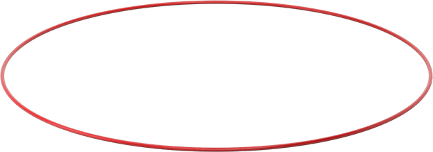 Yüksek Sıcaklık Silikon O-Rings, Parker S1138, 1/8 Kesirli Genişlik, Dash Numarası 282