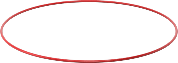 Yüksek Sıcaklık Silikon O-Rings, Parker S1138, 3/16 Kesirli Genişlik, Dash Numarası 385