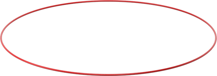 Yüksek Sıcaklık Silikon O-Rings, Parker S1138, 3/16 Kesirli Genişlik, Dash Numarası 395