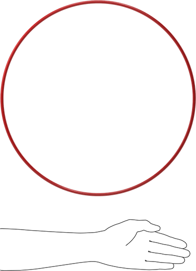 Yüksek Sıcaklık Silikon O-Rings, Parker S1138, 1/4 Kesirli Genişlik, Dash Numarası 462