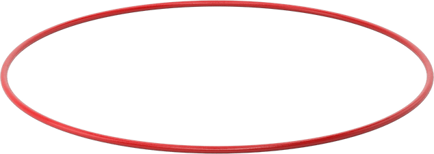 Yüksek Sıcaklık Silikon O-Rings, Parker S1138, 1/4 Kesirli Genişlik, Dash Numarası 463