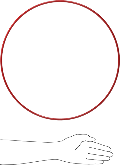 Yüksek Sıcaklık Silikon O-Rings, Parker S1138, 1/4 Kesirli Genişlik, Dash Numarası 463