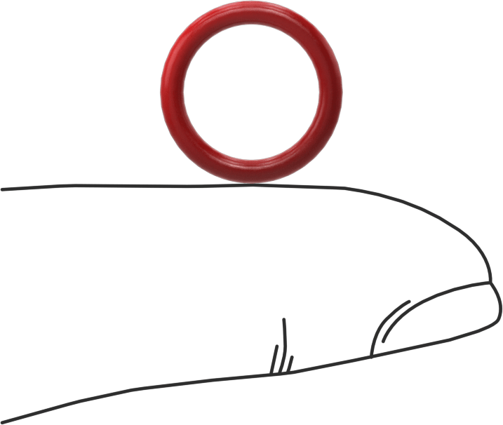 Yüksek Sıcaklık Silikon O-Rings, Düz Dişli Bağlantı İçin, Yüksek Saflıkta, Dash 905