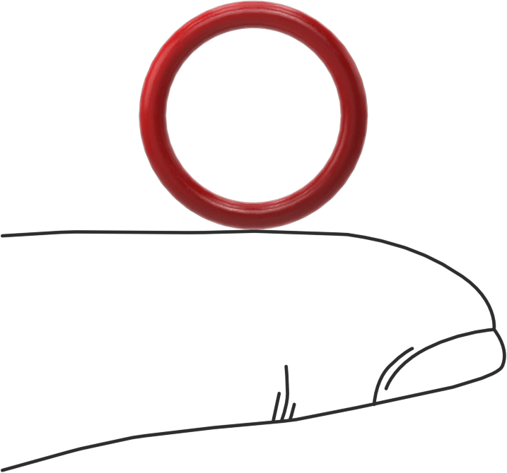 Yüksek Sıcaklık Silikon O-Rings, Düz Dişli Bağlantı İçin, Yüksek Saflıkta, Dash 907