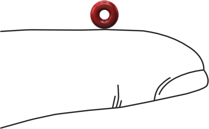 Yüksek Sıcaklık Silikon O-Rings, Parker S1138, 1/16 Kesirli Genişlik, Dash Numarası 004