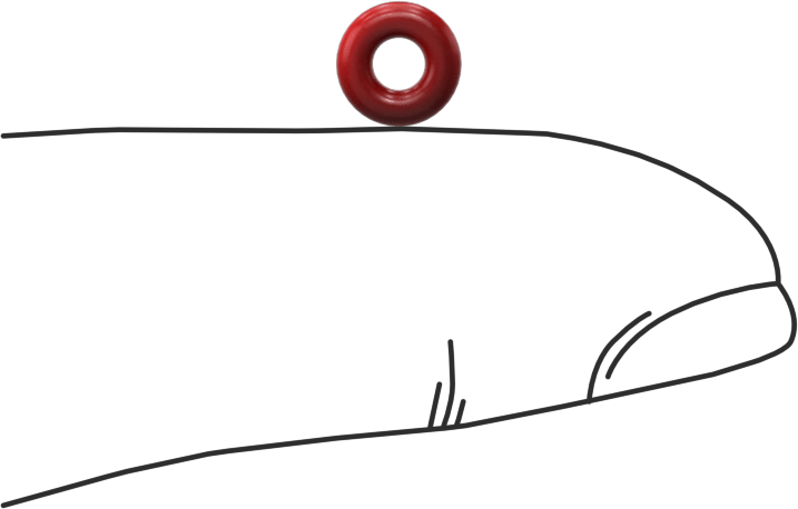 Yüksek Sıcaklık Silikon O-Rings, Parker S1138, 1/16 Kesirli Genişlik, Dash Numarası 005