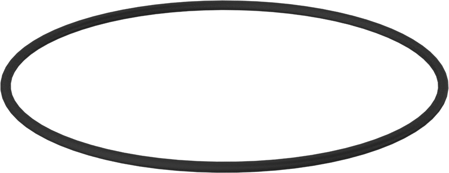 Kimyasala Dayanıklı Viton® Floroelastomer O-Ring, 1/8 Kesirli Genişlik, Dash Numarası 256