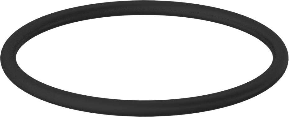 Kimyasala Dayanıklı Viton® Floroelastomer O-Ring, 3/16 Kesirli Genişlik, Dash Numarası 341