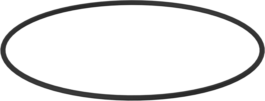 Kimyasala Dayanıklı Viton® Floroelastomer O-Ring, 1/16 Kesirli Genişlik, Dash Numarası 043
