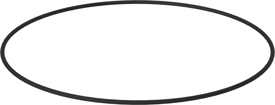 Kimyasala Dayanıklı Viton® Floroelastomer O-Ring, 1/4 Kesirli Genişlik, Dash Numarası 465