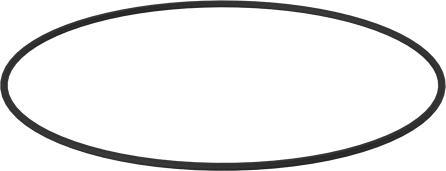 Kimyasala Dayanıklı Viton® Floroelastomer O-Ring, 3/32 Kesirli Genişlik, Dash Numarası 163